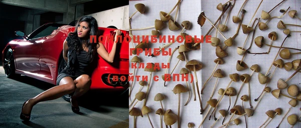 меф Вяземский