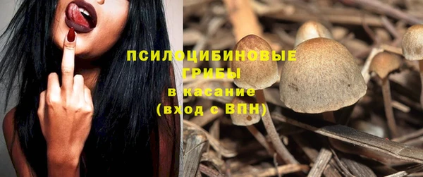 меф Вяземский