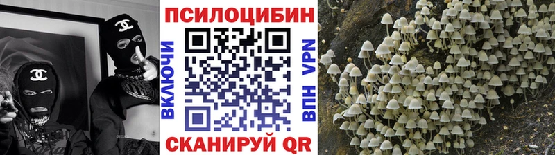 Купить закладки  Боровск  Галлюциногенные грибы MAGIC MUSHROOMS 
